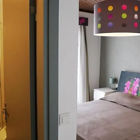 Otel kolaj otel